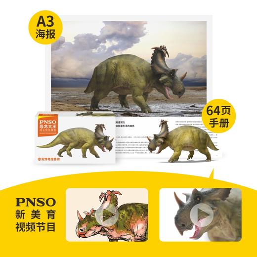 PNSO冠饰角龙鲁索恐龙大王成长陪伴模型89 商品图1