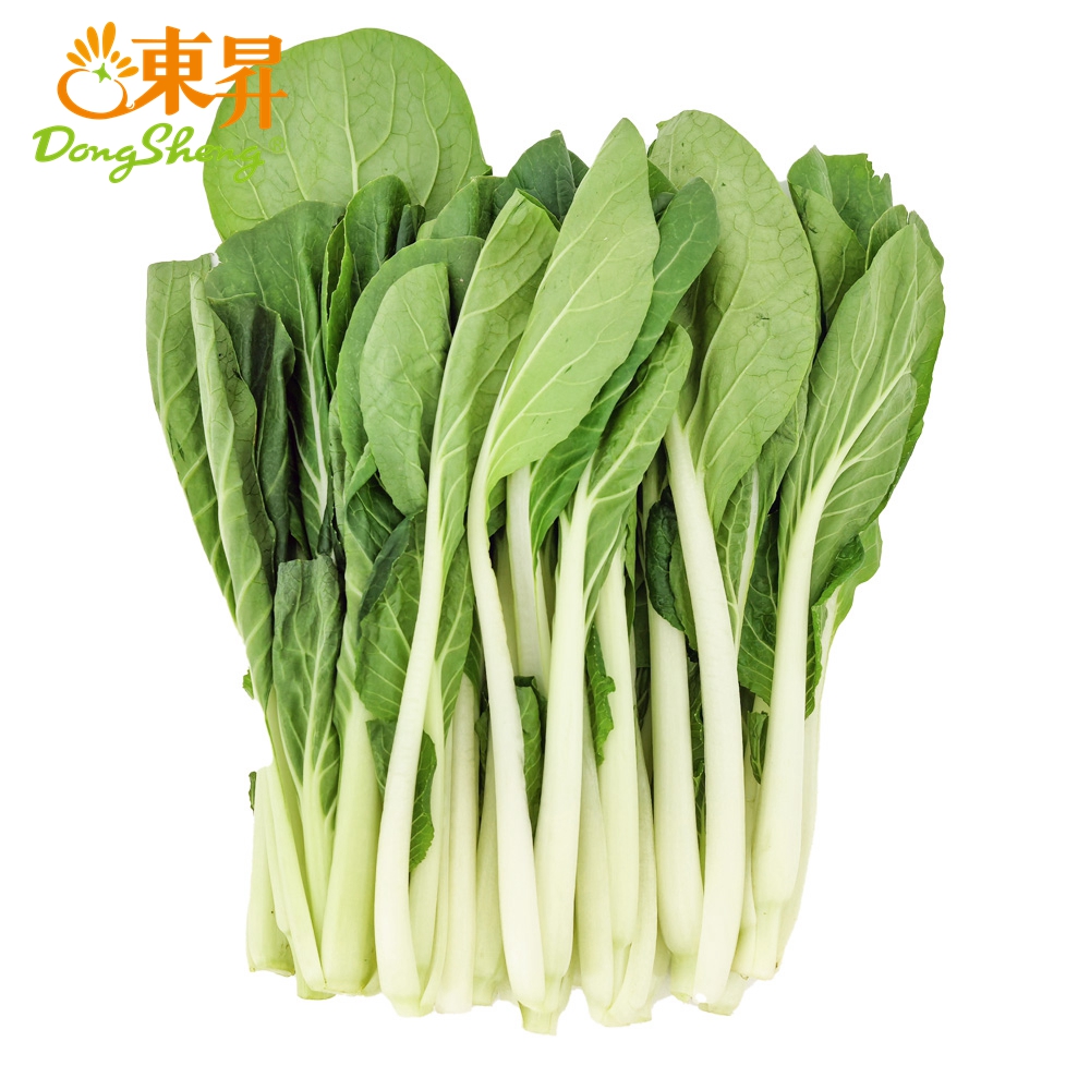 东升农场 有机小白菜 新鲜蔬菜 广州发货 250g