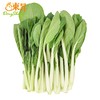 东升农场 有机小白菜 新鲜蔬菜 广州发货 250g 商品缩略图0
