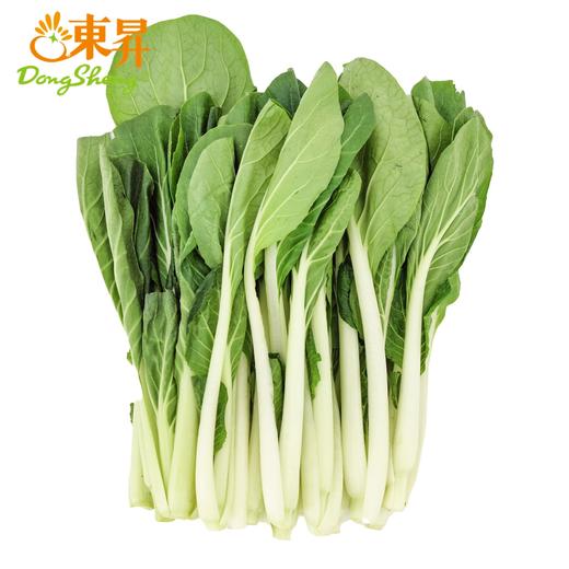 东升农场 有机小白菜 新鲜蔬菜 广州发货 250g 商品图0