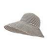 好品质条纹大沿度假慵懒风太阳帽遮脸防晒帽JC3552 商品缩略图4