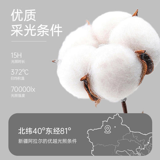 洁丽雅浴巾棉100%柔软吸水浴巾家用洗澡成人浴室学生宿舍裹巾透气 商品图3