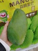 森林蜜芒一个 商品缩略图0