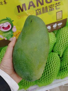 森林蜜芒一个