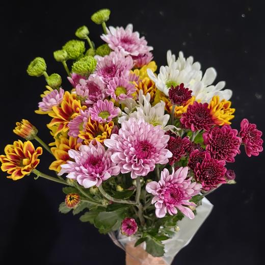 精选花材广州本地混色小雏菊10支 商品图0