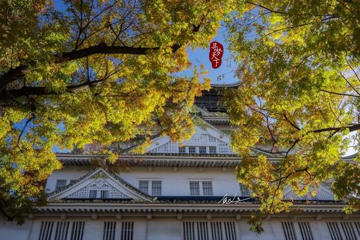 6.22确定出发【日本國】関西行&世博巡礼6天掠影<环球寻梦•精品小团> 商品图0