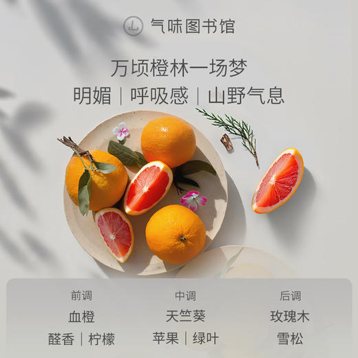 【果香调-漫山橙林】气味图书馆香氛（漫山橙林香型）淡香水50ml 商品图2
