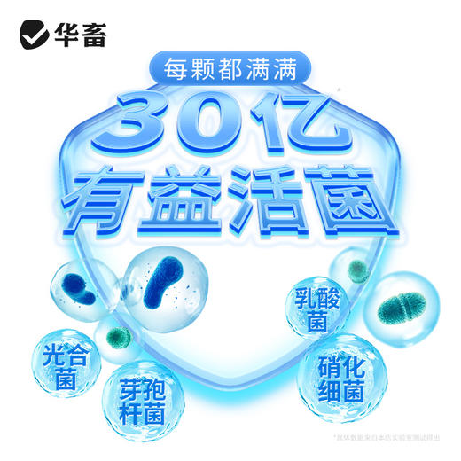 华畜生物底改双效改底王鱼虾蟹塘解毒调水增氧除臭水产养殖净水宝 商品图3