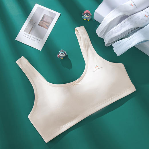 【39元1件，99元3件】少女文胸二阶段-8251100 商品图0