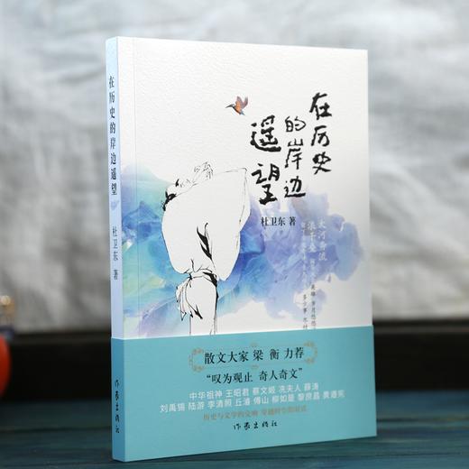 在历史的岸边遥望 商品图0