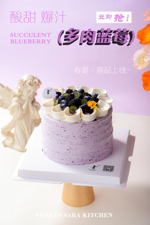 多肉蓝莓 商品图1