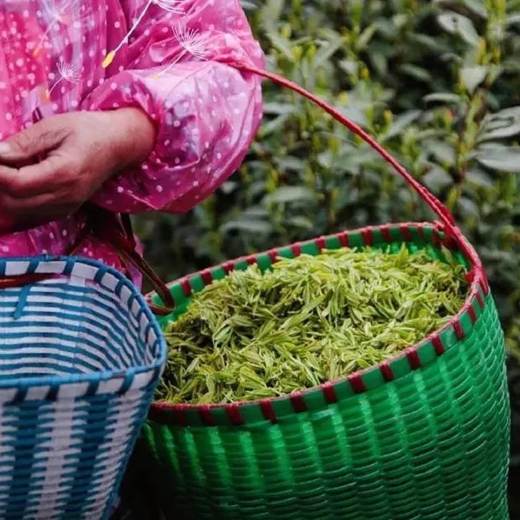 å�¾ç��ä¸�è½½å¤±è´¥