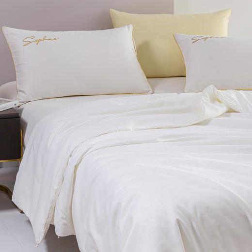 子母蚕丝被 冬被 长丝净重1+2斤(被重约3斤+4斤) A-4273 钱皇 商品图3