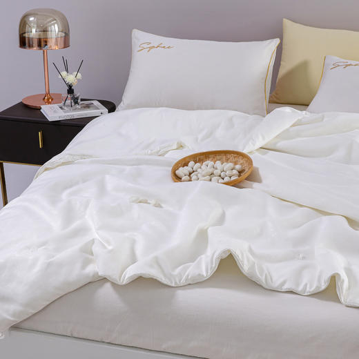 子母蚕丝被 冬被 长丝净重1+2斤(被重约3斤+4斤) A-4273 钱皇 商品图4