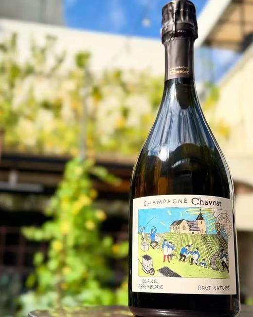 火遍INS的宝藏“漫画”香槟！香槟奥斯卡推荐 高颜值超好喝！ 商品图2