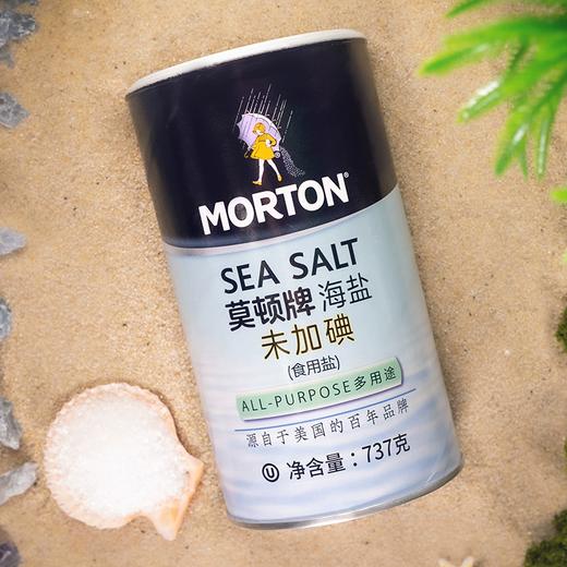 737g莫顿牌未加碘海盐 颗粒均匀 未加碘 商品图2