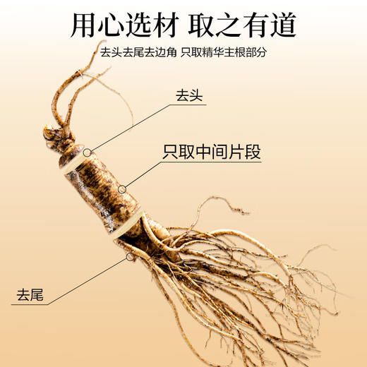 【绮】茯济堂 鲜参蜜片65g 商品图3