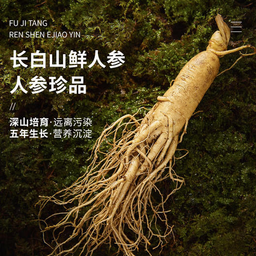 【绮】茯济堂  人参阿胶饮200ML*2盒 商品图1