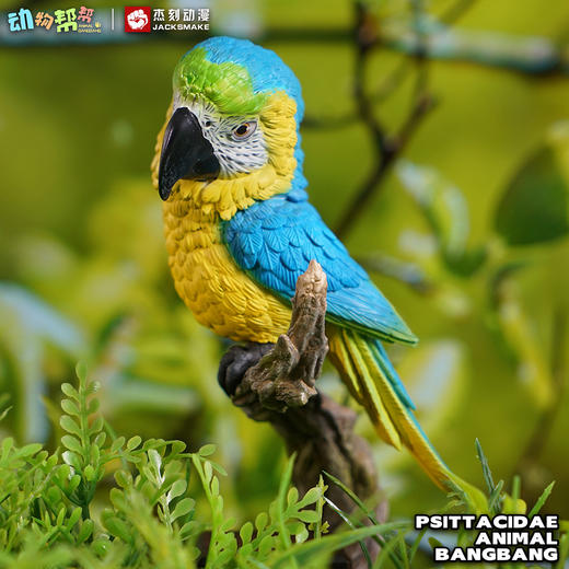 蓝黄鹦鹉&绯红鹦鹉  啥鸟系列② 模型摆件 金刚鹦鹉鸟类周边 ★动物帮帮 官方正品【48小时发货】 商品图3