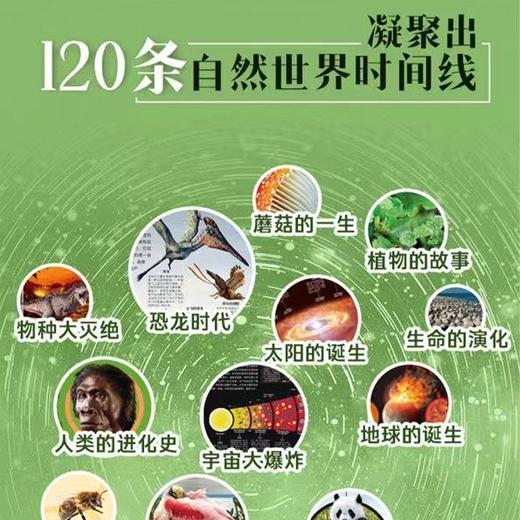 【DK时间线系列】DK时间线图解万物简史+DK时间线人类群星闪耀时+DK时间线大自然的奇迹+DK时间线图解科学简史 商品图2