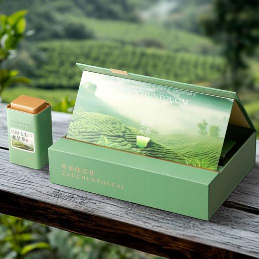 頭採老旱茶【绿.2听毛尖】25元1套.整箱18 套 商品图2