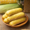 择素有机面甜玉米棒棒 400g/袋 一包8根 鲜玉米粒爆浆香甜面点 6分钟蒸出幸福早餐 商品缩略图6