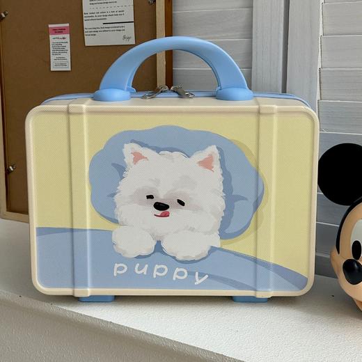 五一出行【敲好看！ins复古化妆箱】手提行李箱女复古14寸ins学生收纳包便携旅行箱子。ry 商品图10