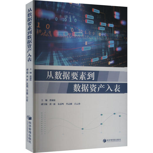 从数据要素到数据资产入表 商品图0