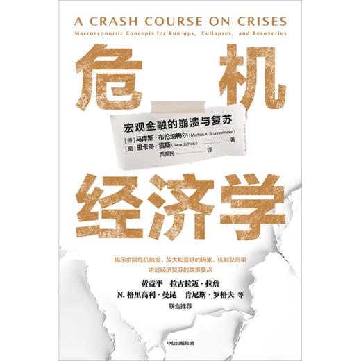 中信出版 | 危机经济学 商品图2