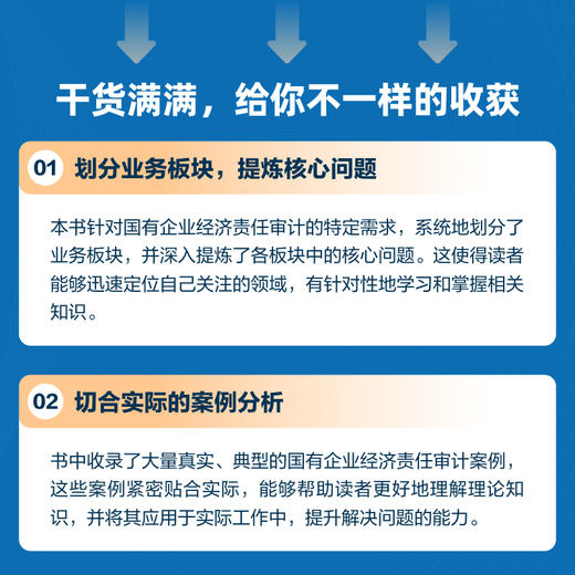国有企业经济责任审计实务操作指南 审计人员技巧案例实务拆解详解实操案头指南工具书籍 商品图2