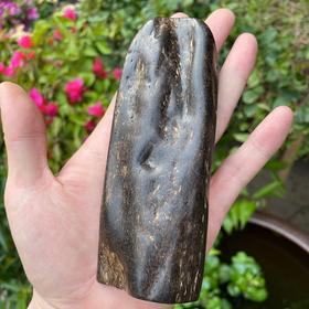 BC.RS4.8-9   达拉干沉水原材，95.7g