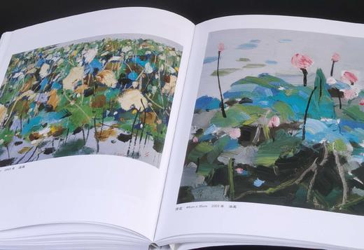 二十世纪中国西画文献三种：《吴冠中》《刘海粟》，32开，平装，铜版彩印，王晓主编，文化艺术出版社2010年左右出版，253+258页，单册定价88元，售价35元。 商品图6