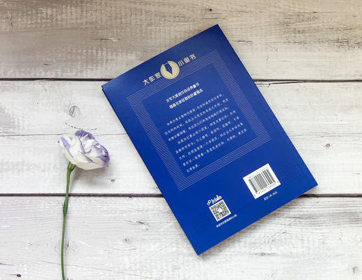 2册 大作家小童书 英雄艾凡赫+鲁特伯格故事 珍藏图本 商品图4