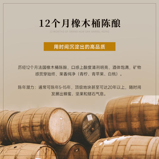 【夏布利一级园】查维勃艮第一级园干白 荣获四大金奖 12月橡木桶陈酿 百年藤木酿造 法国进口 13.5%vol 商品图5