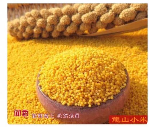 （大众报业推荐）龙山小米 商品图2