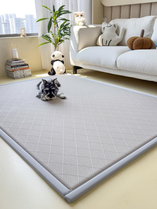 【升级款科技凉感】 A类抗菌多功能垫地垫 按摩豆豆加厚海绵凉席地垫 商品图8