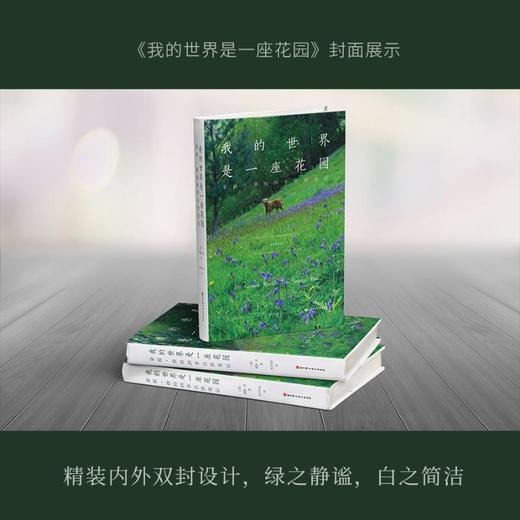 我的世界是一座花园 蒙提·唐的四季自然笔记 商品图3