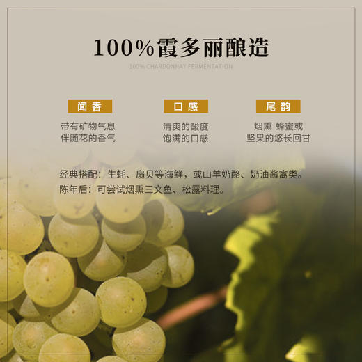 【夏布利一级园】查维勃艮第一级园干白 荣获四大金奖 12月橡木桶陈酿 百年藤木酿造 法国进口 13.5%vol 商品图6