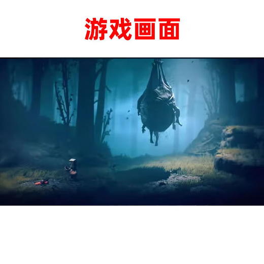 【共享租借】任天堂Switch游戏卡 小小梦魇2 商品图1