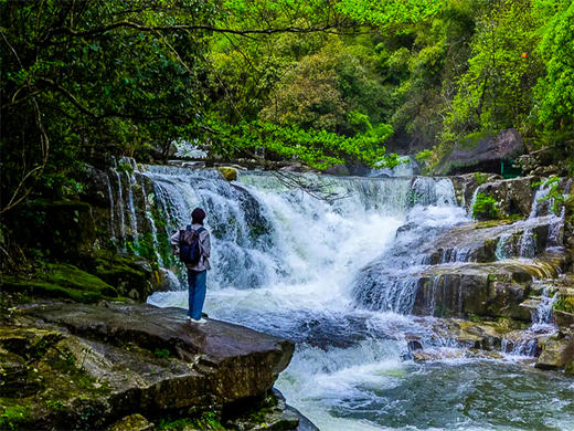 元旦3日【婺源望仙谷】三清山の菊径村-卧龙谷-樟村-月亮湾-景德镇陶溪川-瑶里古镇 商品图7