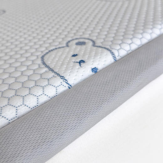 【升级款科技凉感】 A类抗菌多功能垫地垫 按摩豆豆加厚海绵凉席地垫 商品图6