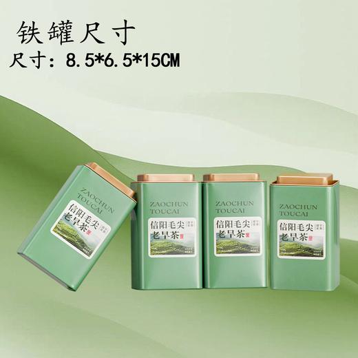 頭採老旱茶【绿.4听毛尖】30元1套.整箱16套 商品图3