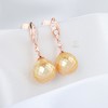 【星耀】刻面金珠耳坠 ZZ12502051 商品缩略图2