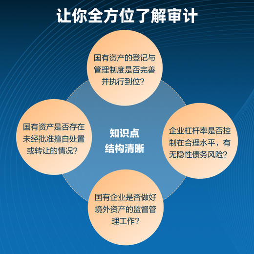 国有企业经济责任审计实务操作指南 审计人员技巧案例实务拆解详解实操案头指南工具书籍 商品图1