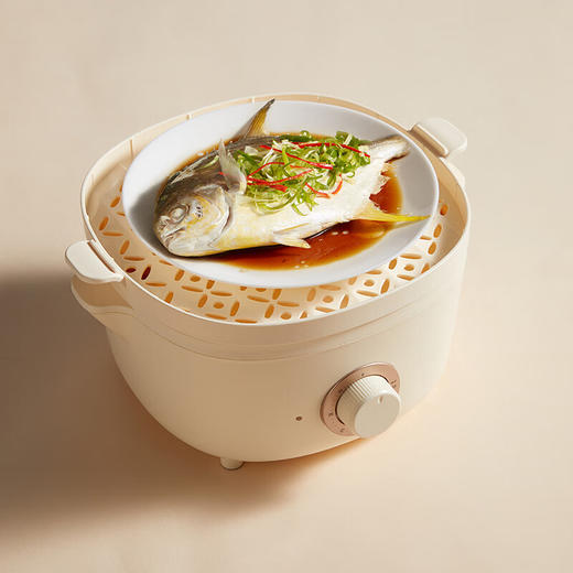 小熊电蒸锅DZG-D40E1【分仓直发，72小时发货，周末节假日不发货】 商品图1