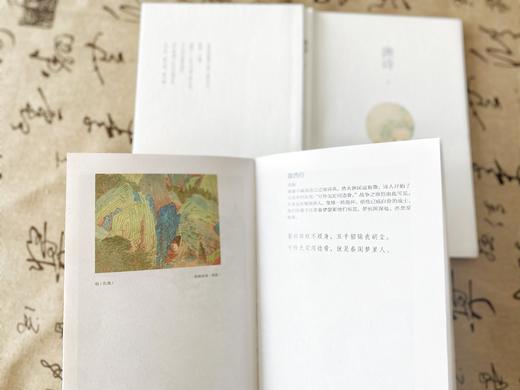 《唐诗》+《宋词》彩插注解本（上下册）+ 赠笔记本 商品图8