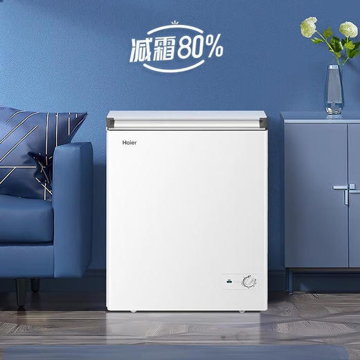海尔（Haier）142升 电冰柜 小型冷柜 -30度深冷速冻 专利减霜80% 带脚轮 带食品筐  BC/BD-142GHW9D 商品图6