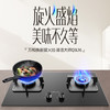万和天然气灶 JZT-Q3-L16 商品缩略图3