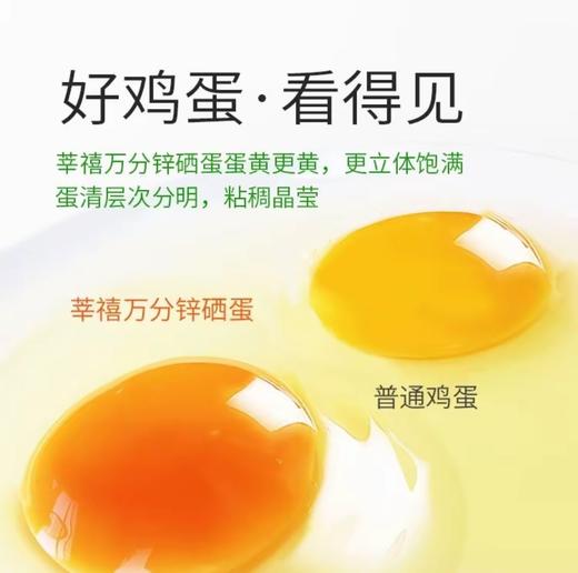 （大众报业推荐商品）莘禧万分富硒鲜鸡蛋 30枚装 商品图3
