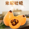 【分仓直发包邮】四川米易枇杷1斤中果（约15-25个）（单果20-30g） 商品缩略图0